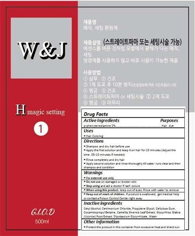 Image Description (Giod   Elf Color)